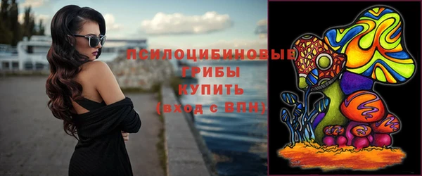 гидра Нея