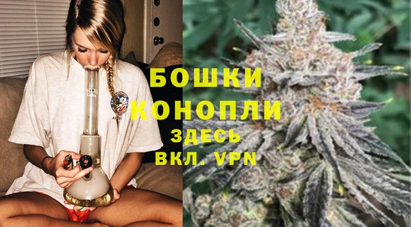 PSILOCYBIN Нефтекумск