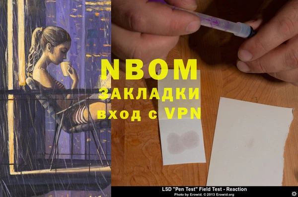 гидра Нея