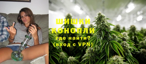 гидра Нея