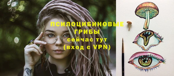 PSILOCYBIN Нефтекумск