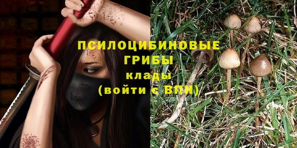 гидра Нея